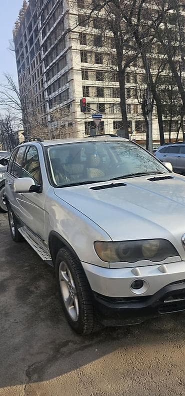 вайлдмейстер ех5: BMW X5: 2002 г., 3 л, Автомат, Дизель, Кроссовер — 2