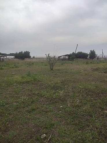 Жер тилкелери: 60 соток, Бизнес үчүн — 5