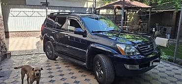 сму геология: Lexus GX: 2004 г. — 3
