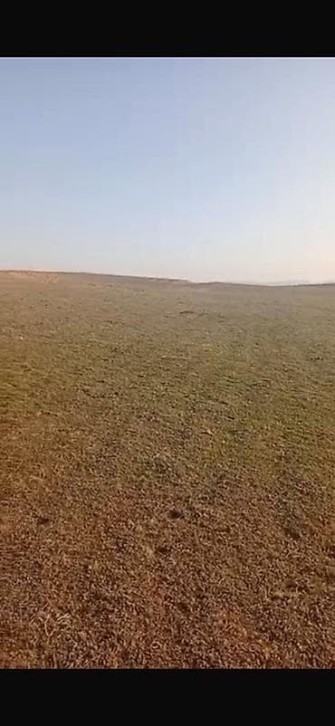 рыскулова молодая гвардия: 6 соток, Для строительства, Красная книга, Договор купли-продажи — 5