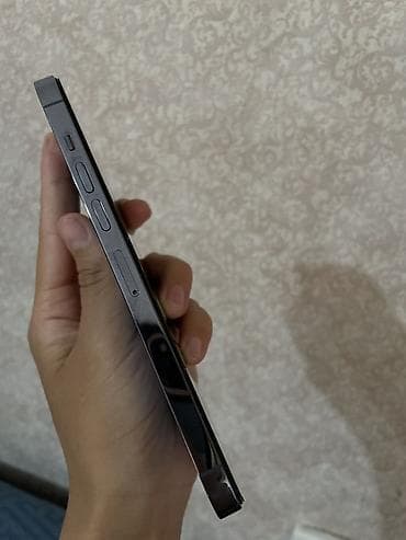 iphone 16 цена: IPhone 13 Pro Max, Sierra Blue — 2