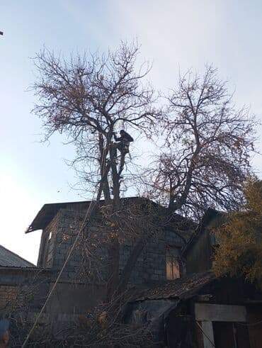 самый лучший эндокринолог рядом просп жибек жолу бишкек: Спил деревьев самых опасных деревьев гарантия -цены приятные как и — 3