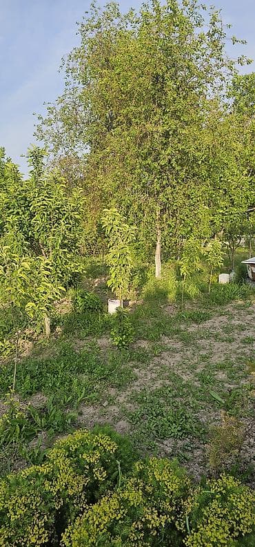 дома клееный брус: Продаётся благоустроенный дом с участком. Дом: - Просторная гостиная — 3