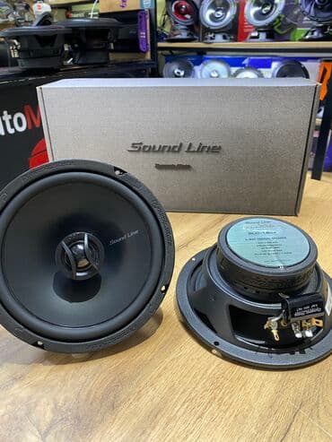 колонка динамик: Dst! Dynamic State 16! Топовые динамики российского бренда! — 1