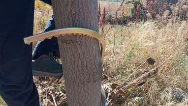 строительные инструменты продаю: Когти по дереву. пояс в комплекте — 7