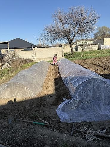 дуги для парников: Рассада Самовывоз, Платная доставка — 4