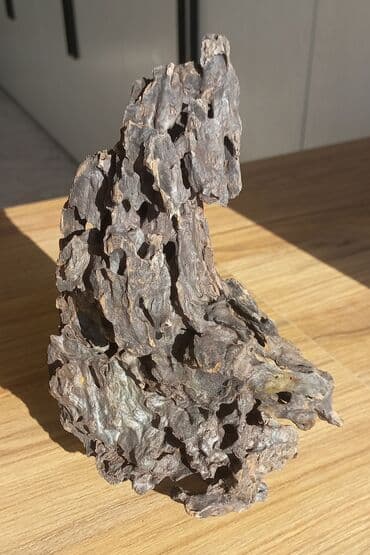 аквариумные растения бишкек: В аквариум коряга очень интересной формы и фактуры — "драконовый — 1