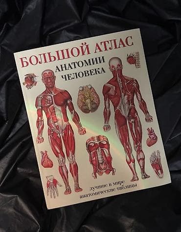 Новый атлас анатомии человека at lalafo.kg Новый атлас анатомии человека