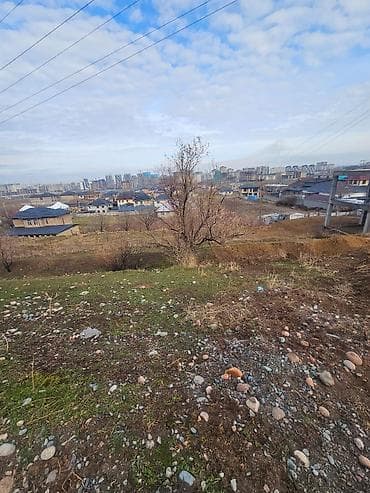 20 соток, Красная книга at lalafo.kg 20 соток, Красная книга