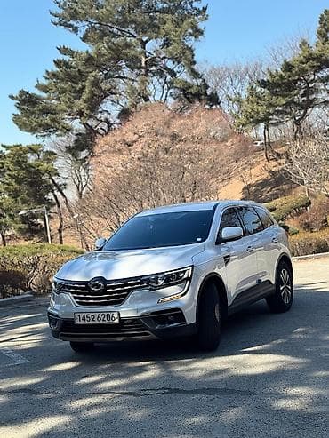 Renault QM6: 2019 г., 2 л, Вариатор, Газ, Кроссовер