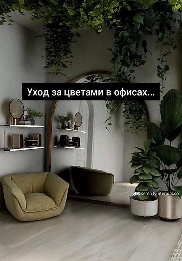 Комнатные растения: 🌿 Уход за растениями для офисов, студий и салонов Возьму все заботы о — 1
