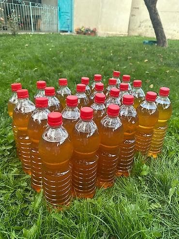 Высшее качество мёда 🍯🐝 Токтогульское чистое горное 🏔️🌲 За 1 литр — 1