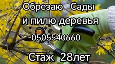 Делаю обрезку плодовых деревьев, а также валим,пилим деревьев. Выезд
