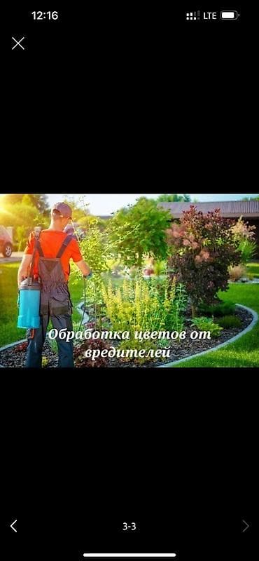 Работа: 🌱Я Садовник Обработка Сеем газон под ключ Посев газон Я Садовник — 1