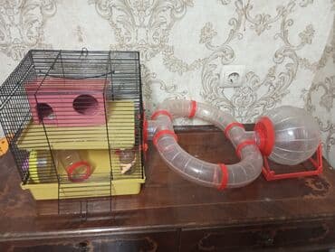 домашные куры: Могу сделать скидку. Клетка для хомяков в полной комплектации беговое — 1