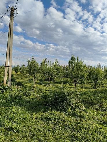 за сколько можно продать дом: 100 соток, Для сельского хозяйства, Договор купли-продажи — 5