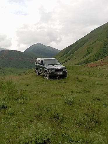 bad ass: Isuzu Bighorn: 1994 г., 3.2 л, Автомат, Бензин, Внедорожник — 5