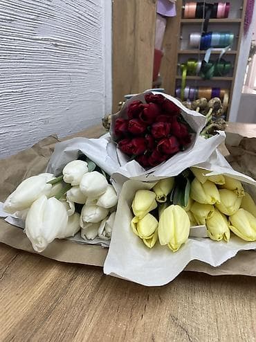 сколько стоит семена тюльпана: Тюльпаны местные с луковицей бронь по предоплате цена 🥳🥳 — 6