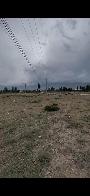 участо: 5 соток, Бизнес үчүн, Сатып алуу-сатуу келишими — 2