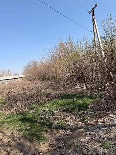 сокулуе: 19 соток, Курулуш, Кызыл китеп — 2