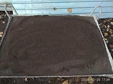 лимон: Продаю комнатные цветы: (все цветы, что на фото подросли, свежее фото — 5