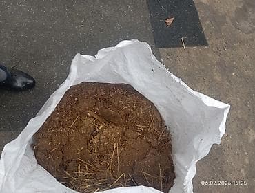 чиринди: НАВОЗ НАВОЗ НАВОЗ. В МЕШКАХ . БАРАНИЙ. ОТДАМ БЕСПЛАТНО — 2