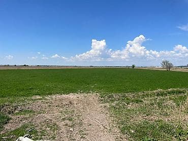 браво городок: 600 соток, Для бизнеса, Договор купли-продажи — 5