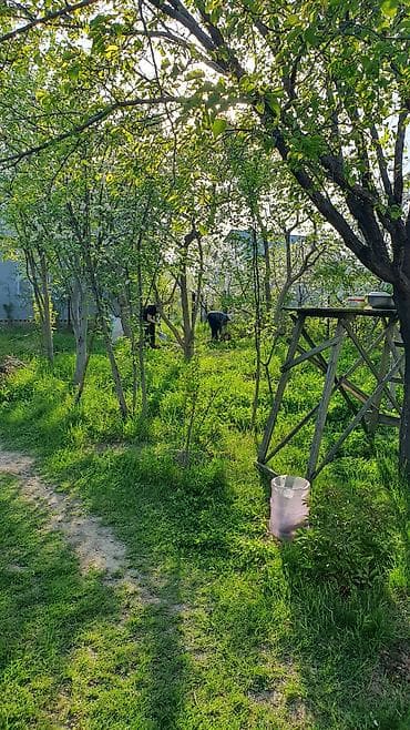 Продается дачный времянка 2 комнаты с коридором, есть сарай, баня