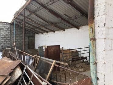 Үйдү ижарага алам: Үй, 200 м², 4 бөлмө — 4