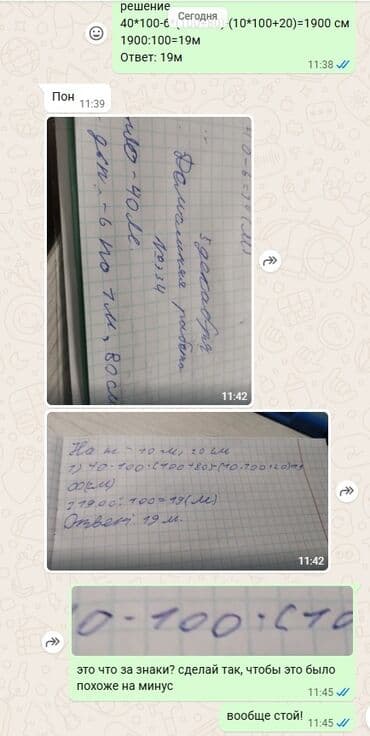 взять котёнка в хорошие руки: Отдам в хорошие руки котят. Мама пароды Пиксибоб — 2