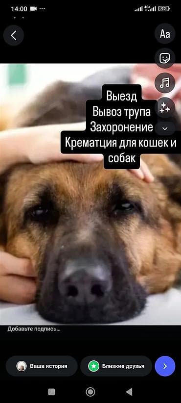 Ритуальные услуги для домашних животных (кошек и собак) - Выезд