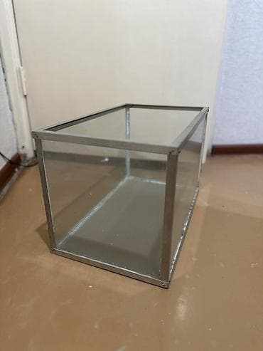акварум: Стеклянный аквариум/террариум прямоугольной формы. Длина 50 см, ширина — 3