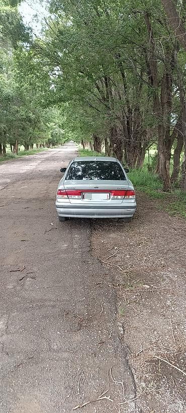 sonata k5: Nissan Sunny: 2001 г., 1.5 л, Автомат, Бензин, Седан — 4