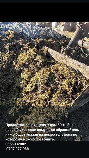 Сенаж из первого укоса. - Тип корма: сенаж, измельчённая масса трав