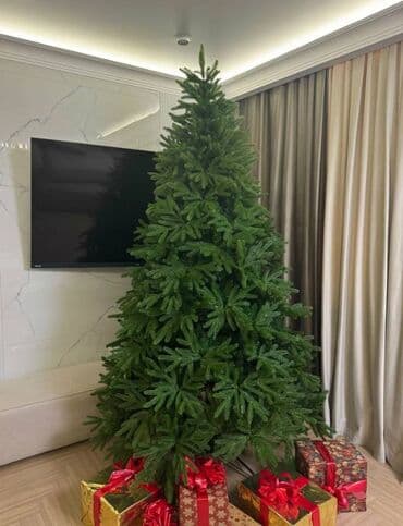 где купить семена павловнии: Искусственные литые елки премиум-качества ✅ Реалистичные литые ветви — 1