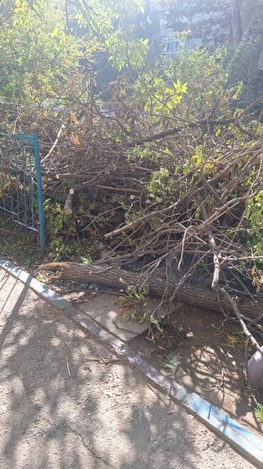 дрова самовывоз: Дрова — 2