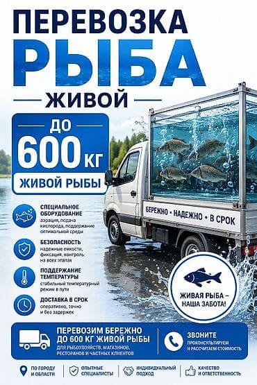 зарыбленное озеро: Перевозка живой рыбы до 600 кг Услуга специализированной доставки — 1