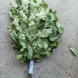 резиновый дилдо: Веники дубовые оптом и в розницу — 2