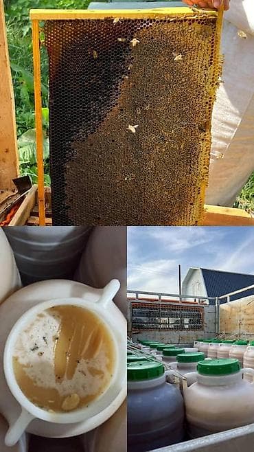 сидения на форд транзит: Заказать Мерседес грузовой спринтер — 7