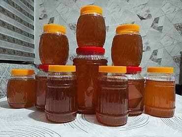 Продается натуральный Токтогульский мёд. Цена за литр - 600сом at lalafo.kg Продается натуральный Токтогульский мёд. Цена за литр - 600сом