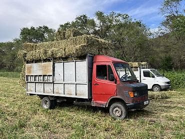 тс кg: Легкий грузовик, Mercedes-Benz, Стандарт, 3 т, Б/у — 2