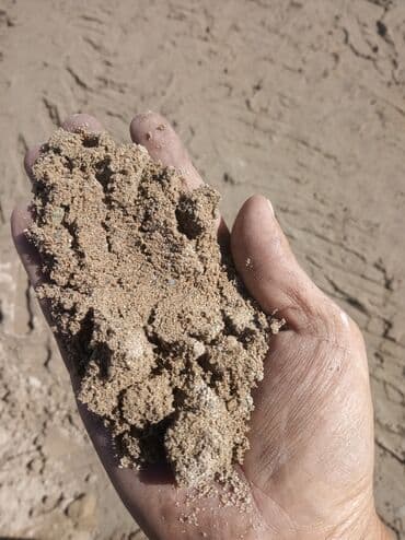 реклама на видеоэкранах бишкек: Портер, Доставка щебня, угля, песка, чернозема, отсев, По городу, с грузчиком — 4