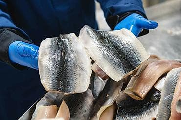 швеи аламедин 1: Упаковщица/фасовщица (упаковщик/фасовщик) - Компания: “OOO Балтийский — 2