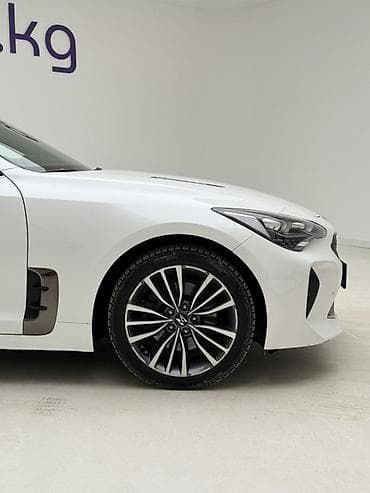 kia stinger 2019: Kia Stinger: 2019 г., 2.2 л, Автомат, Дизель, Фастбек — 6