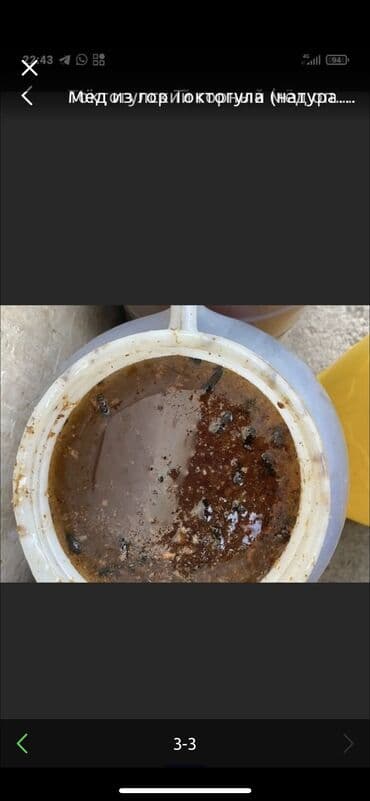 баночки для меда бишкек: Токтогульский горный чистый мёд! Оптом и в Розницу. Цена свыше 33кг — 4