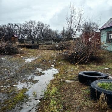 Отдам даром