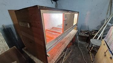 мал кой: Брудер/клетка для выращивания цыплят и другой птицы - Просторная — 4