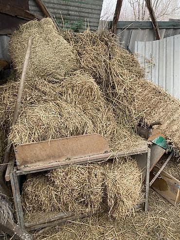 Животные: Сено в тюках. Срочно продаю точно не счита примерно 10-15 штук плюс — 1