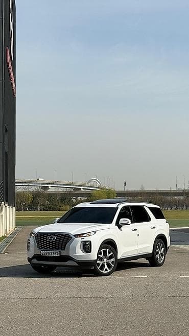 range over: Hyundai Palisade: 2019 г., 2.2 л, Дизель, Кроссовер — 6