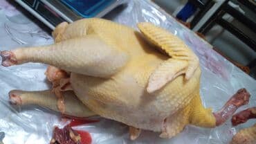 индюк продажа: Продаются индюки на мясо. Выращенные на свободе в поле. Корм составлял — 7